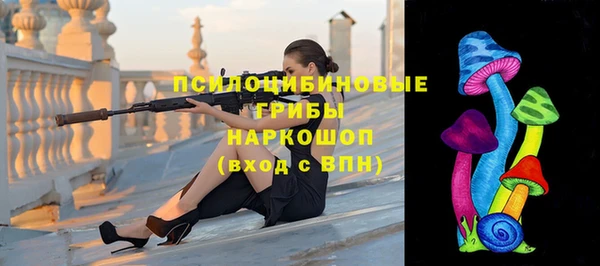 крисы Нея
