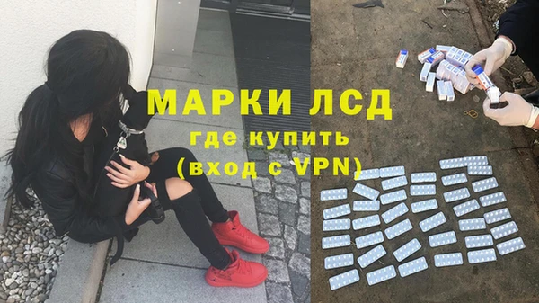 крисы Нея