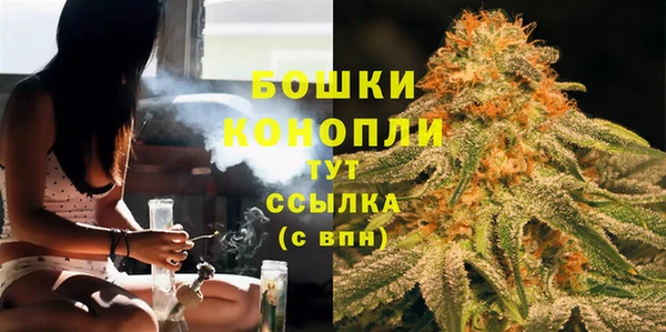 стаф Новодвинск