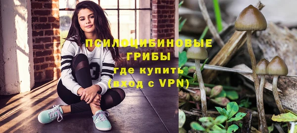 прущие крисы Нефтекумск