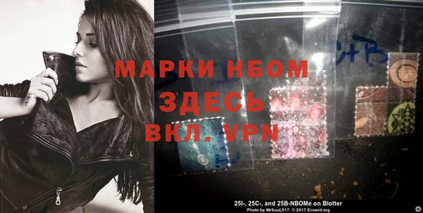 стаф Новодвинск