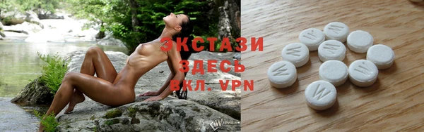 стаф Новодвинск
