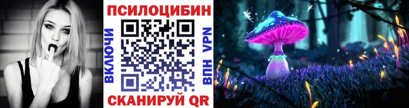 Псилоцибиновые грибы Psilocybe  Киселёвск 